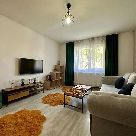 Londof Apartments- New Center Brašov Exteriér fotografie